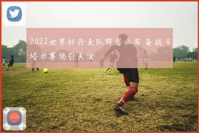 2022世界杯丹麦队阵容公布 备战卡塔尔赛场引关注