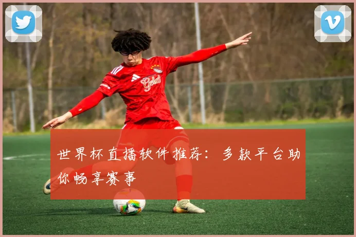世界杯直播软件推荐：多款平台助你畅享赛事