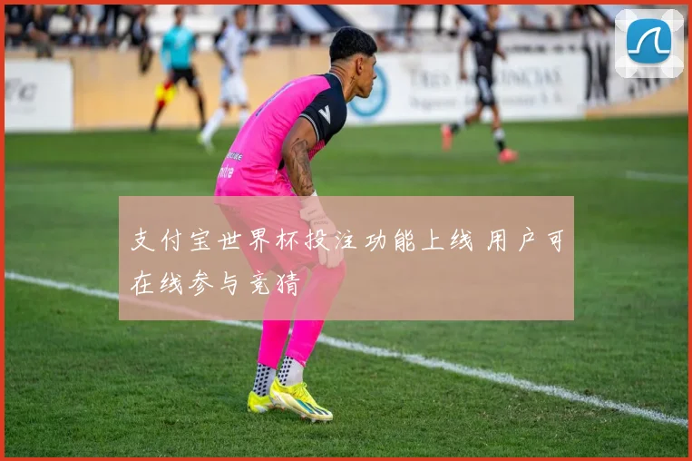 支付宝世界杯投注功能上线 用户可在线参与竞猜