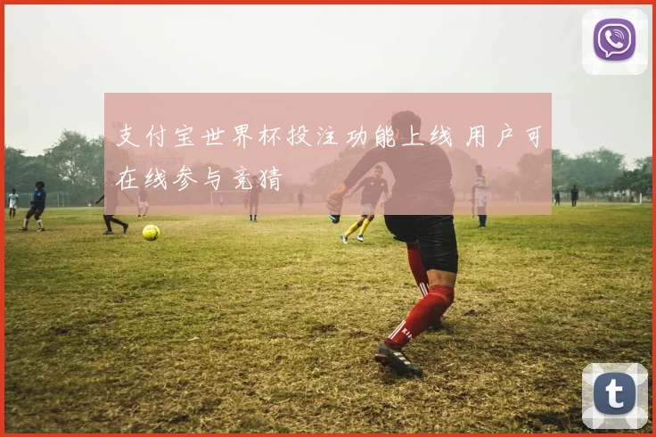 支付宝世界杯投注功能上线 用户可在线参与竞猜