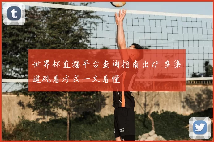 世界杯直播平台查询指南出炉 多渠道观看方式一文看懂