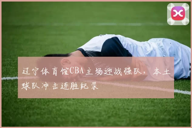 辽宁体育馆CBA主场迎战强队，本土球队冲击连胜纪录